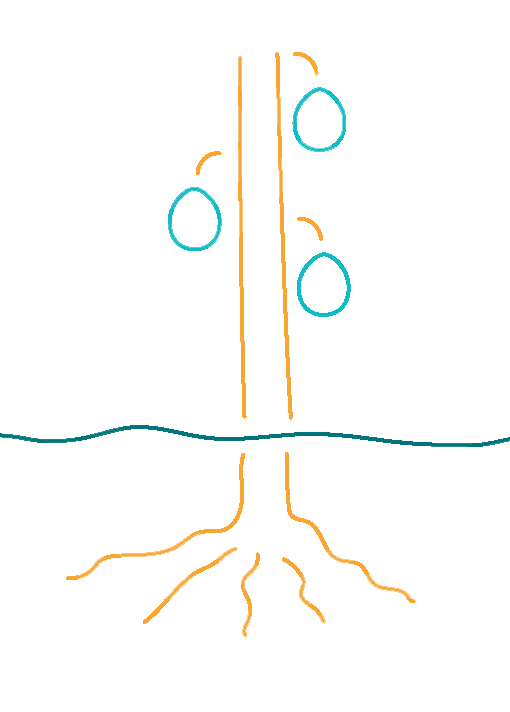 Icon-Sadaqah-Tree Interpal - Donate Sadaqah to Palestinians this Ramadan