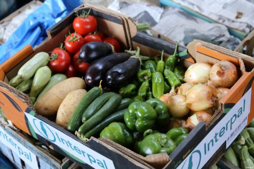 Interpal distributes fresh fruits and vegetables to Palestinian refugees