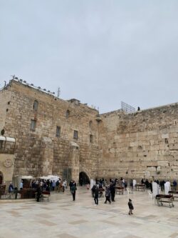 WhatsApp Image 2020-09-23 at 12.34.25 WhatsApp Image 2020-09-23 at 12.34.25