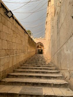 WhatsApp Image 2020-09-23 at 12.38.34 (1) WhatsApp Image 2020-09-23 at 12.38.34 (1)