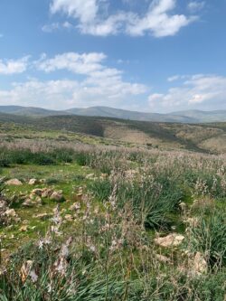 WhatsApp Image 2020-09-23 at 12.38.35 WhatsApp Image 2020-09-23 at 12.38.35