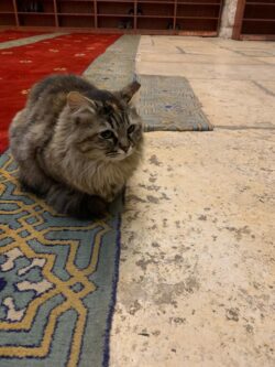 WhatsApp Image 2020-09-23 at 12.38.36 (1) WhatsApp Image 2020-09-23 at 12.38.36 (1)