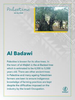 Interpal Ramadan 2022_Holy Spaces_08