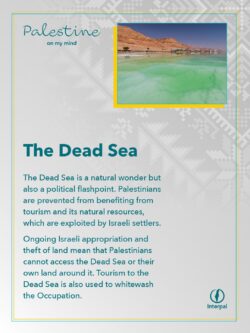 Interpal Ramadan 2022_Holy Spaces_10