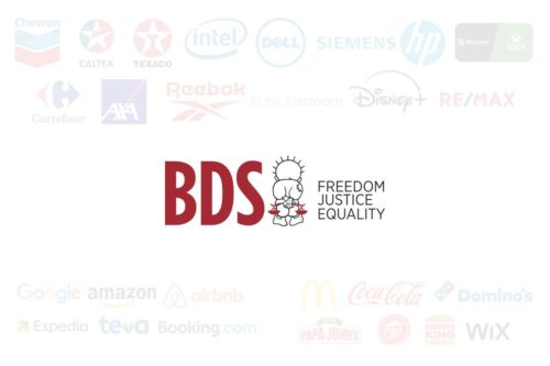 BDS Movement Logo